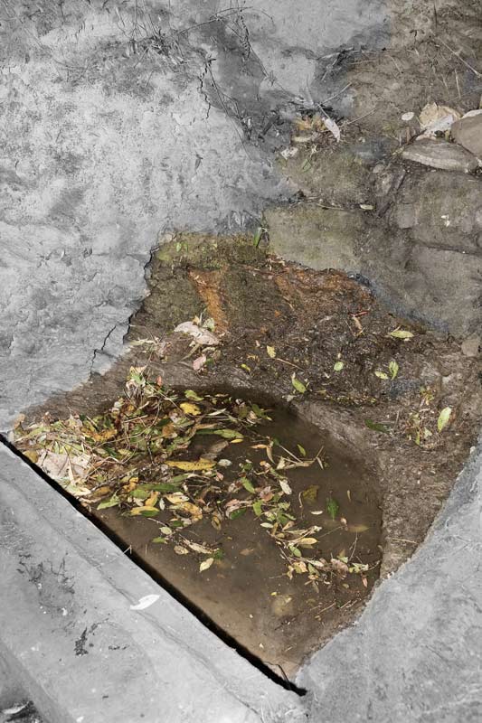 Human Right to Water in Nagaland - A visibly unclean spring-fed drinking water source in Zunheboto district